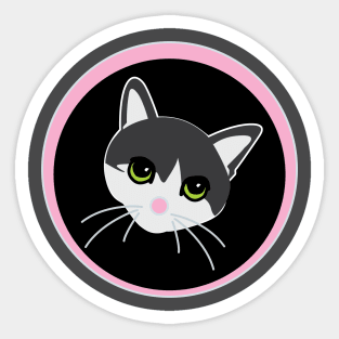 Calli Kitten - Pink Sticker